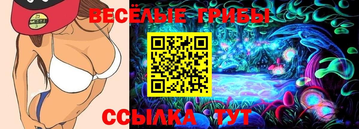 Псилоцибиновые грибы MAGIC MUSHROOMS  Галлюциногенные грибы Cubensis  дарнет шоп  Карасук  Вход с VPN 